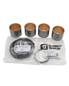 Guascor Repair Kit, Oil Pump (360 & 48)  16.77.520