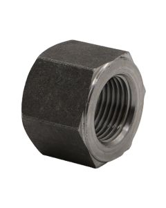 19.10.086 Guascor head stud nut 103456