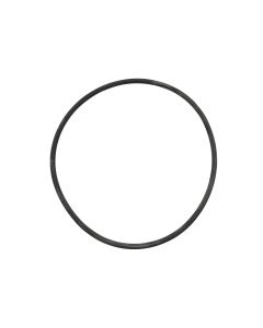 Guascor O-Ring- Viton- 169.2X5.7 72.15.932